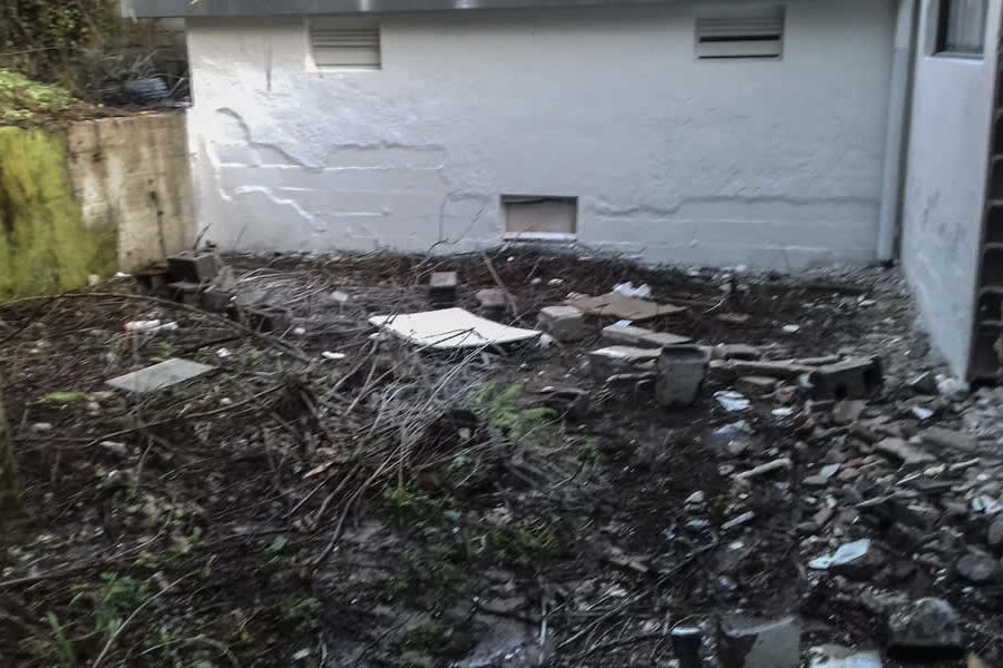 Limpieza de jardín con excavadora en Donostia